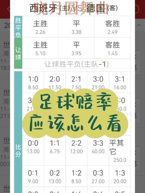 世界杯投注登录赔率变化怎么看更合理经验分享